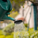 آبپاش (Watering Can) مدل MY2021 - Image 4