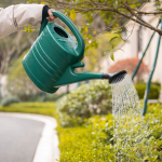آبپاش (Watering Can) مدل MY2021 - Image 5